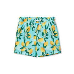 Boys Husky Chlorine Resistant 5" Swim Trunks with Mesh Liner