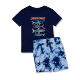 Boys Short Sleeve Tee and Shorts Pajama Set