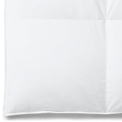 Elite Down Comforter